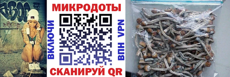 Псилоцибиновые грибы Magic Shrooms  Переславль-Залесский 